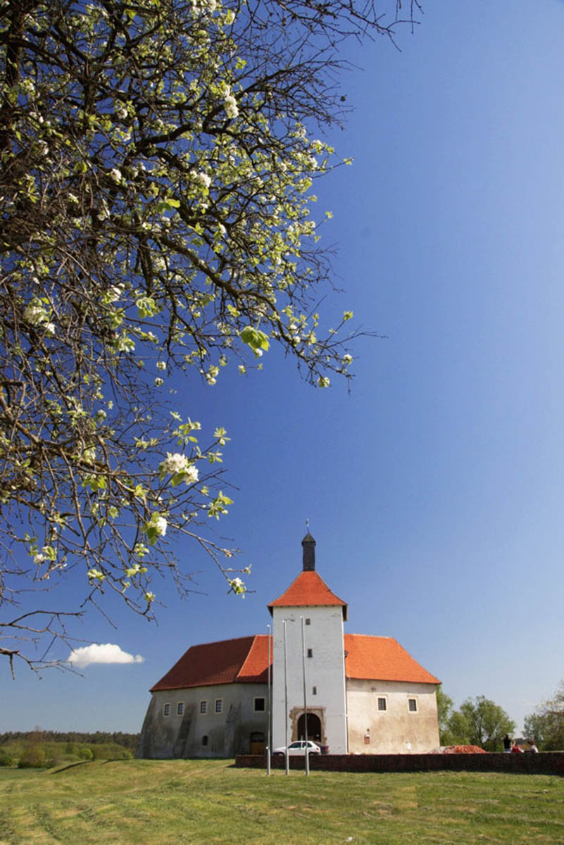 DJURDJEVAC12 18 04 09