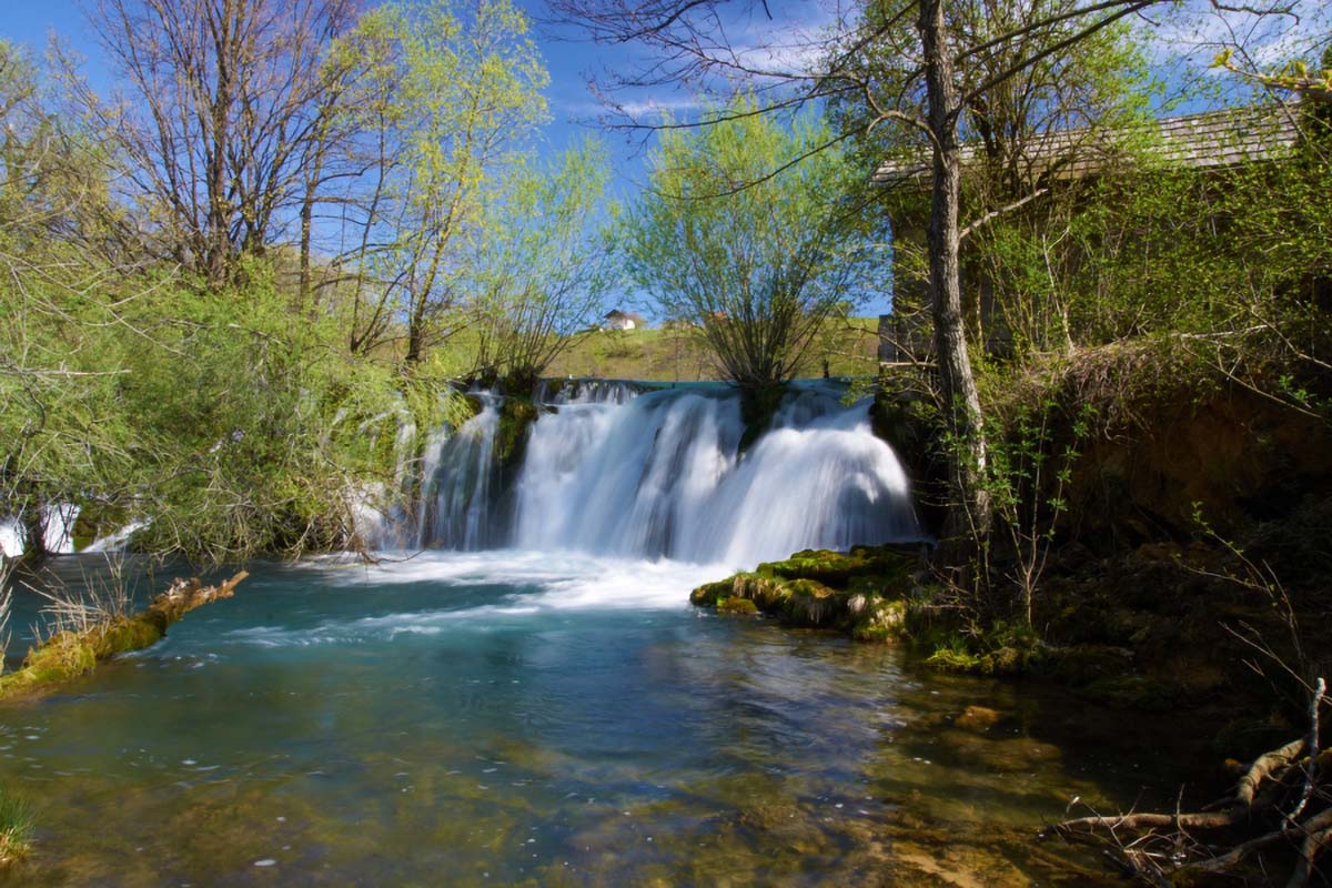 MREZNICA   SASTAVCI22 09 04 11