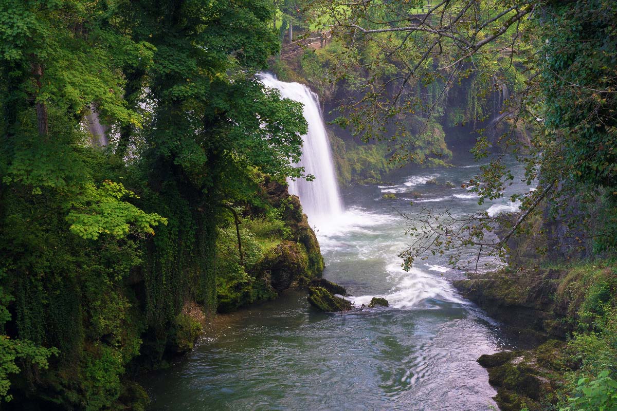 RASTOKE080 15 08 14