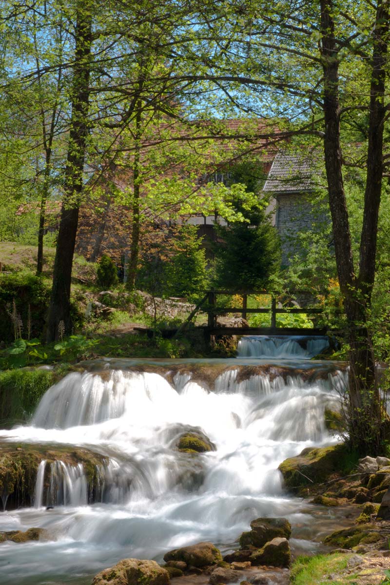 RASTOKE150 01 05 12
