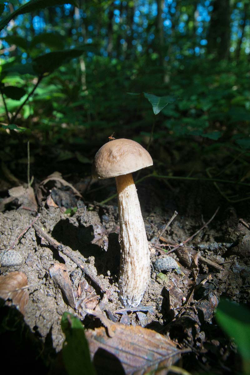 I 23 08 16