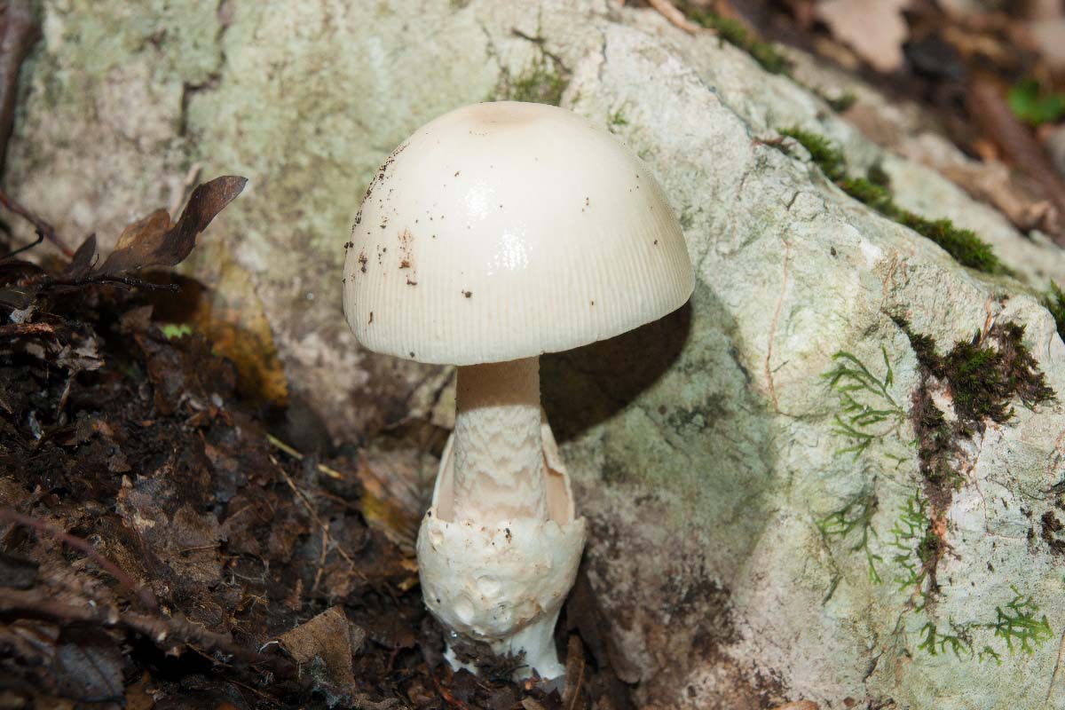 M 08 10 12