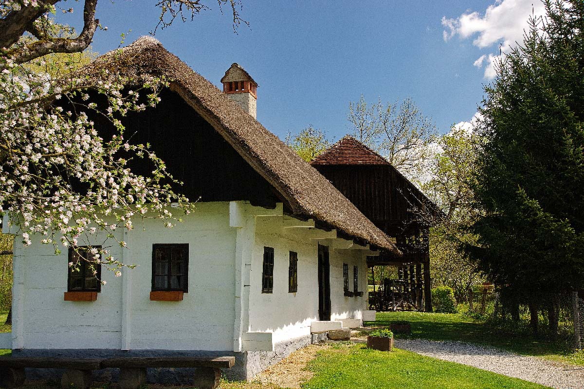 KUMROVEC33 20 04 08