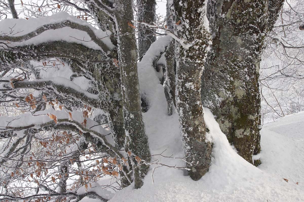 BEGOVO RAZDOLJE14 16 01 10