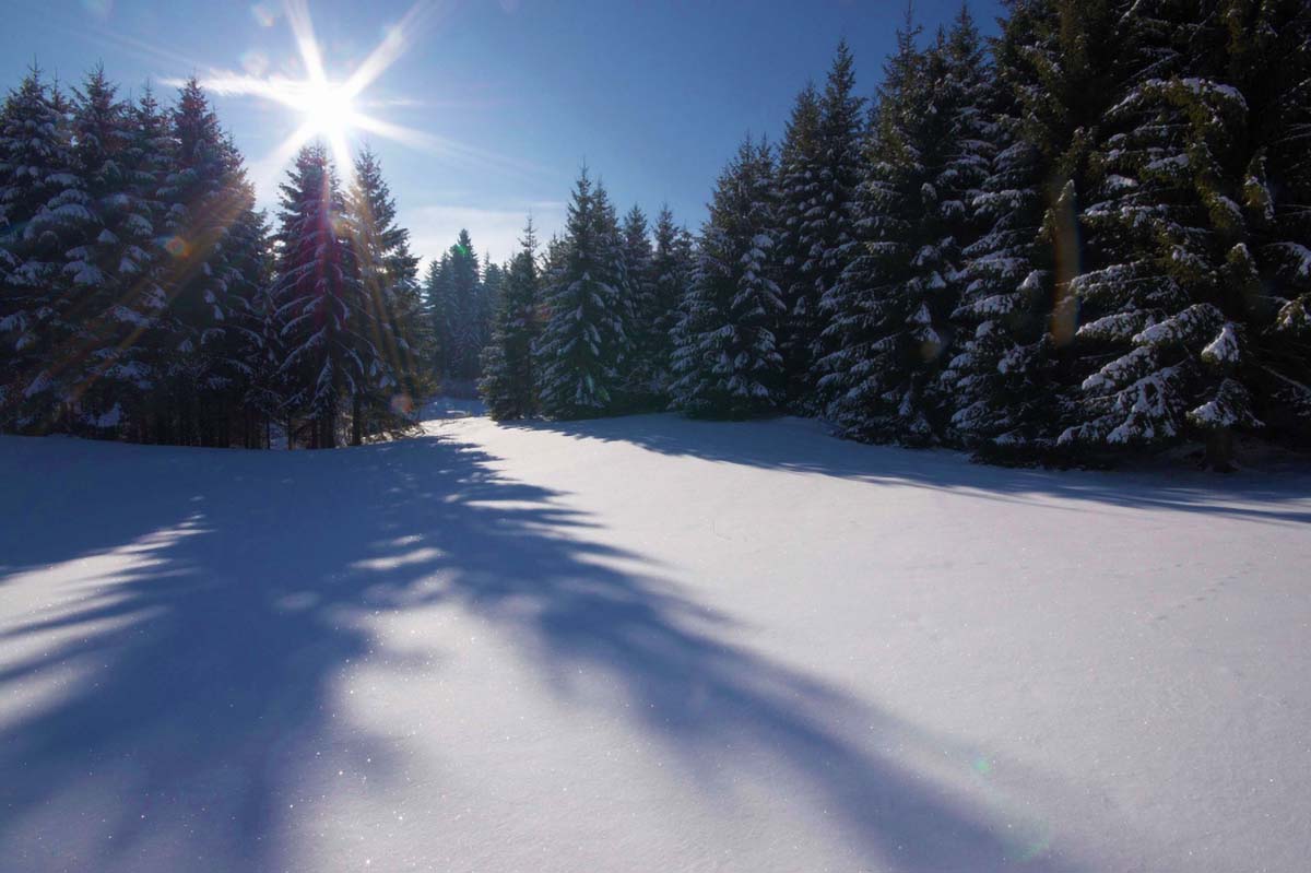 GORSKI KOTAR28 10 01 09