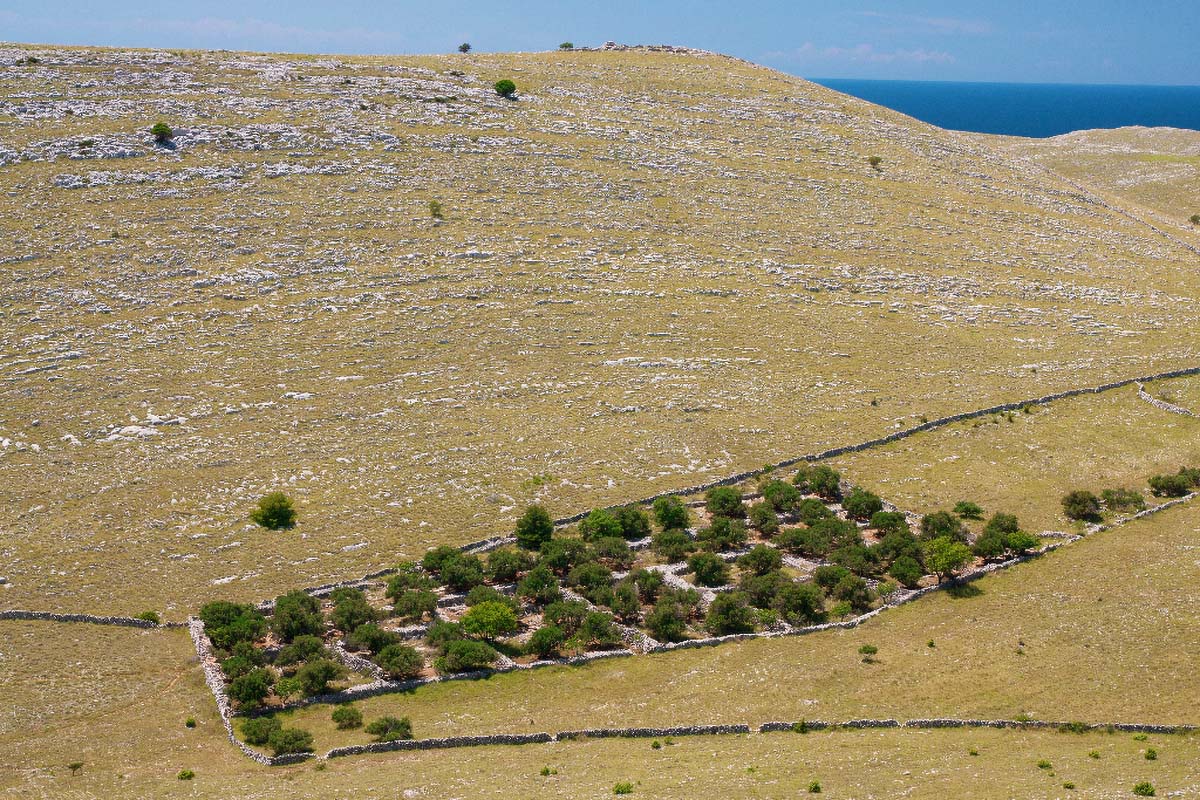KORNATI212 07 06 13