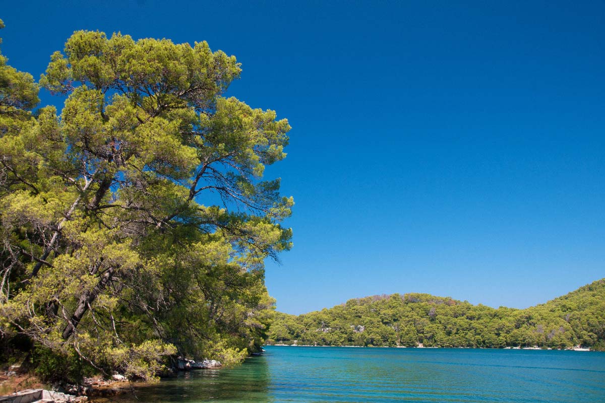 MLJET1242 14 08 13