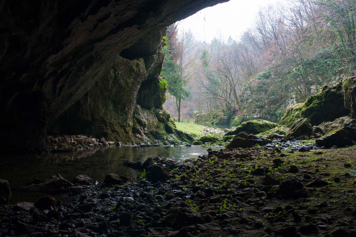 TOUNJCICA24 31 12 13