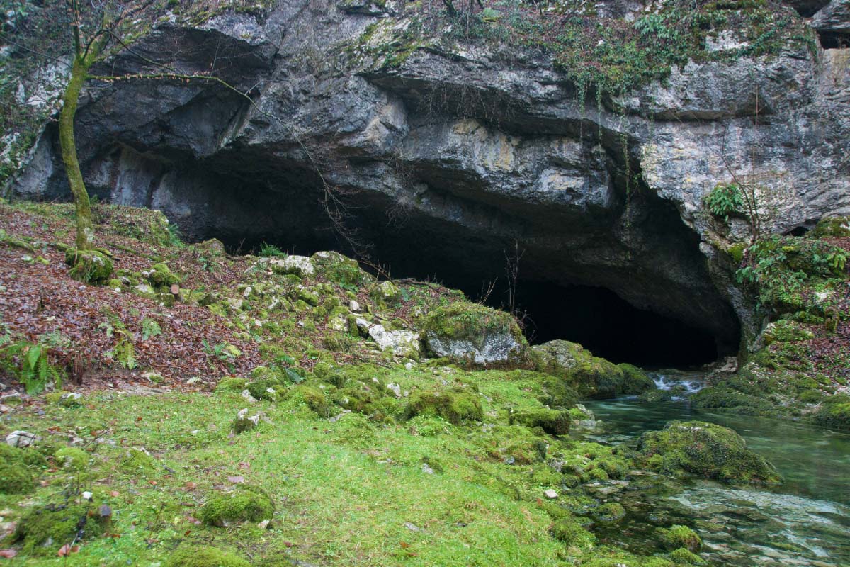 TOUNJCICA49 31 12 13