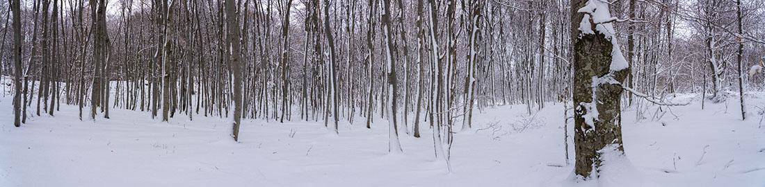 JAPETIC2 PANORAMA 19 01 19