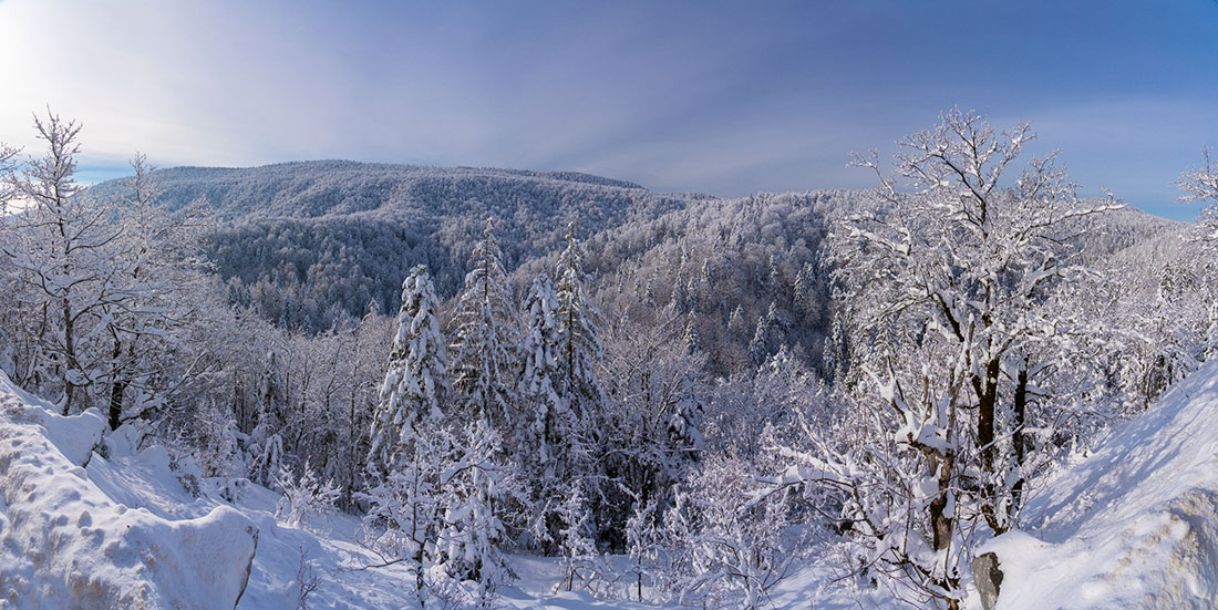 LIKA PANORAMA 26 01 19