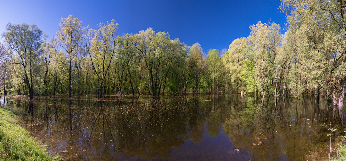 LONJSKO POLJE4 PANORAMA 21 04 18