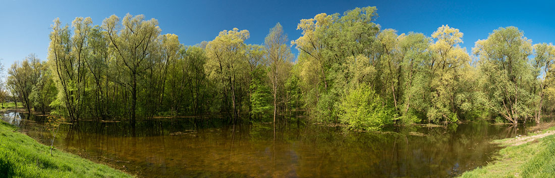 LONJSKO POLJE5 PANORAMA 21 04 18