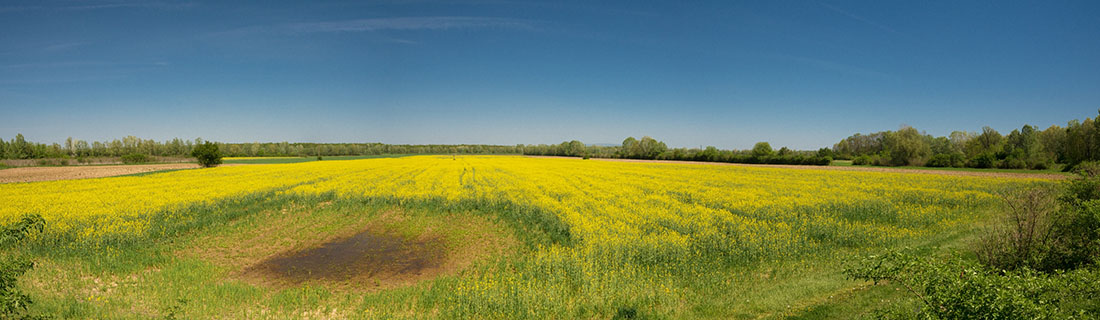LONJSKO POLJE6 PANORAMA 21 04 18