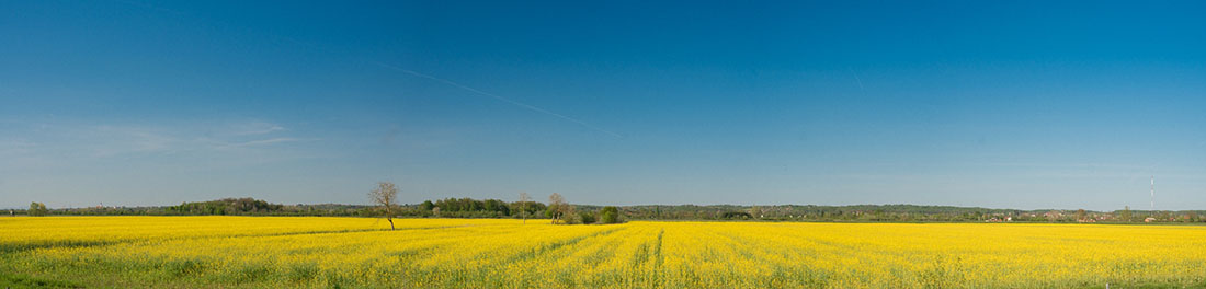 LONJSKO POLJE7 PANORAMA 21 04 18