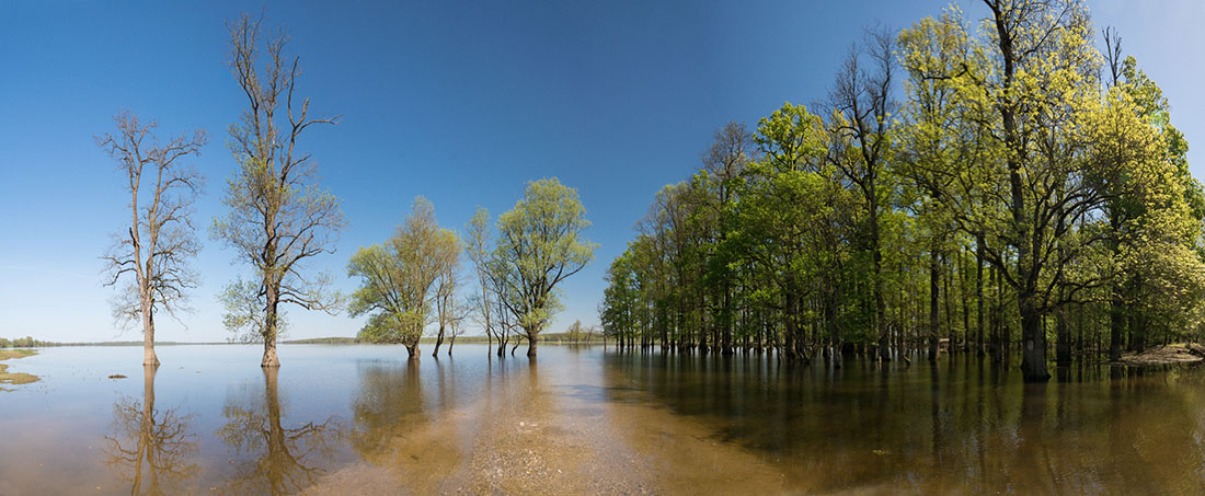 MUZILOVCICA3 PANORAMA 21 04 18