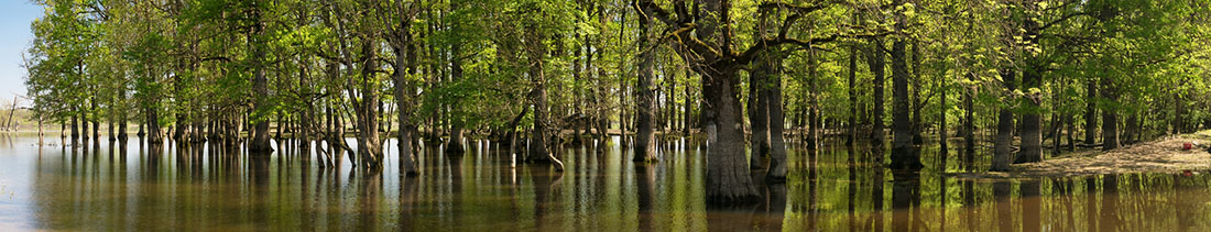 MUZILOVCICA4 PANORAMA 21 04 18