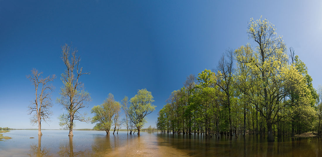 MUZILOVCICA5 PANORAMA 21 04 18