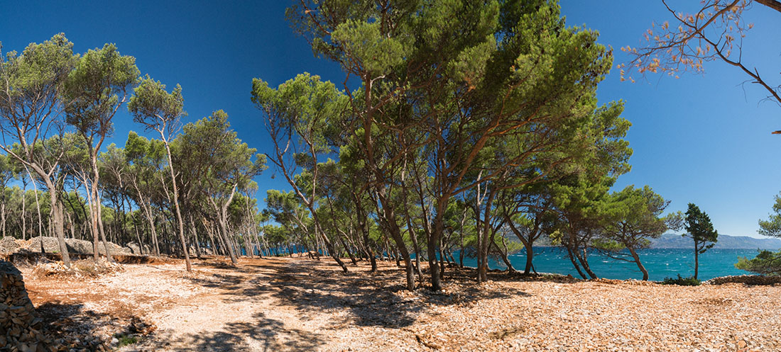 UVALA BABIN LAZ4 BRAC PANORAMA 23 06 18