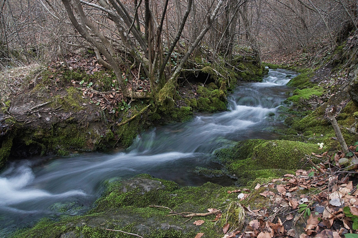 POTOK PECNIK07 09 02 08