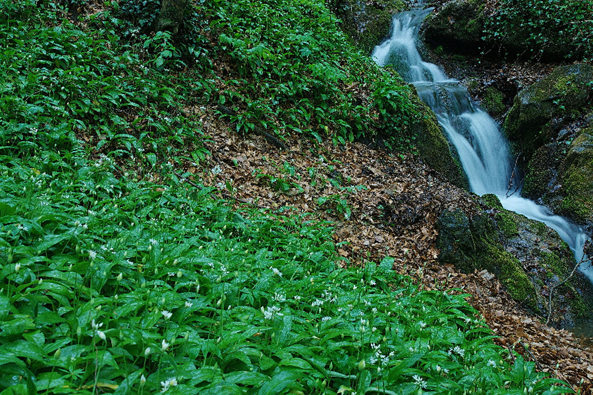 POTOK SUMI10 19 04 08