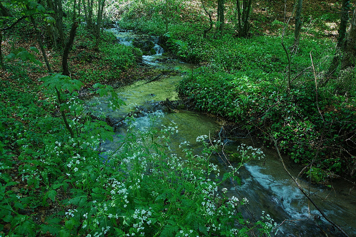 POTOK SUMI23 19 04 08