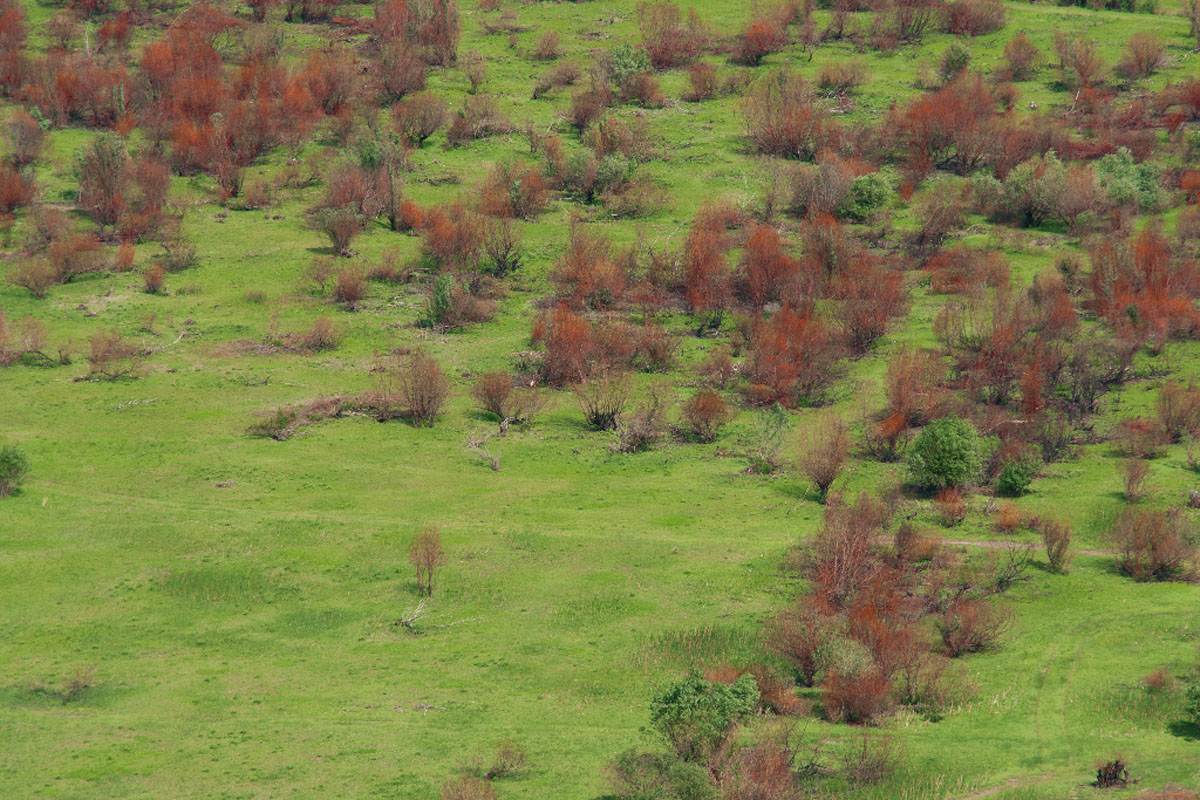 PROLOSKO BLATO16 17 05 12