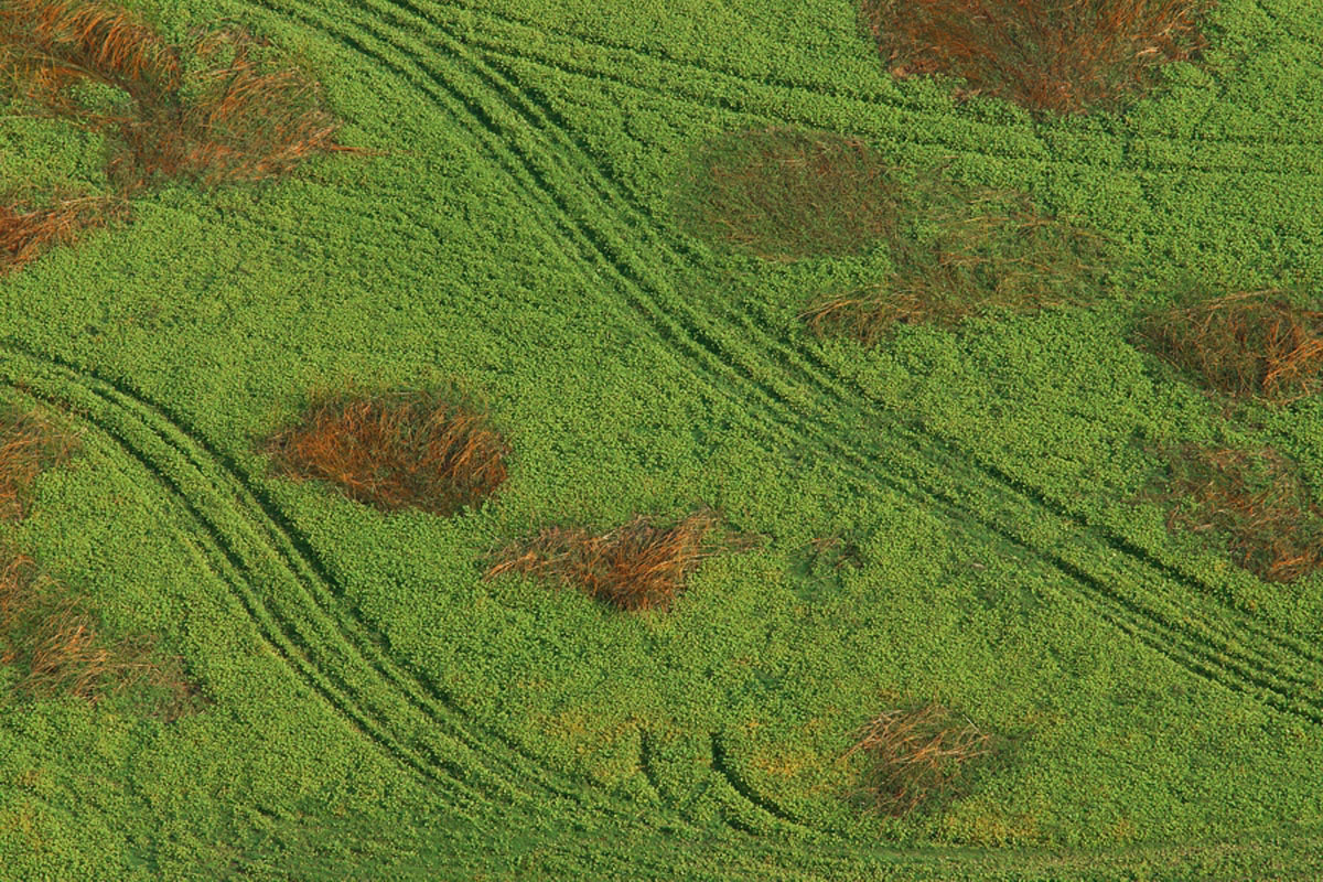 PROLOSKO BLATO37 08 10 09