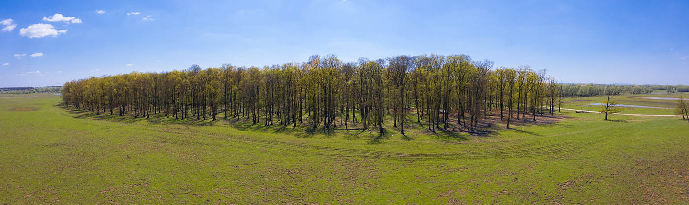 LONJSKO POLJE5 AIR PANORAMA 24 04 21