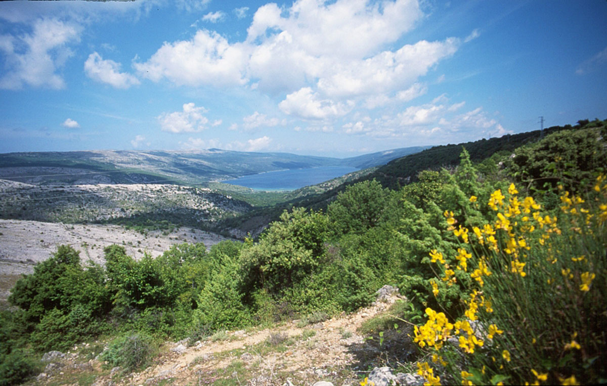 VRANSKO JEZERO (CRES) K22D23