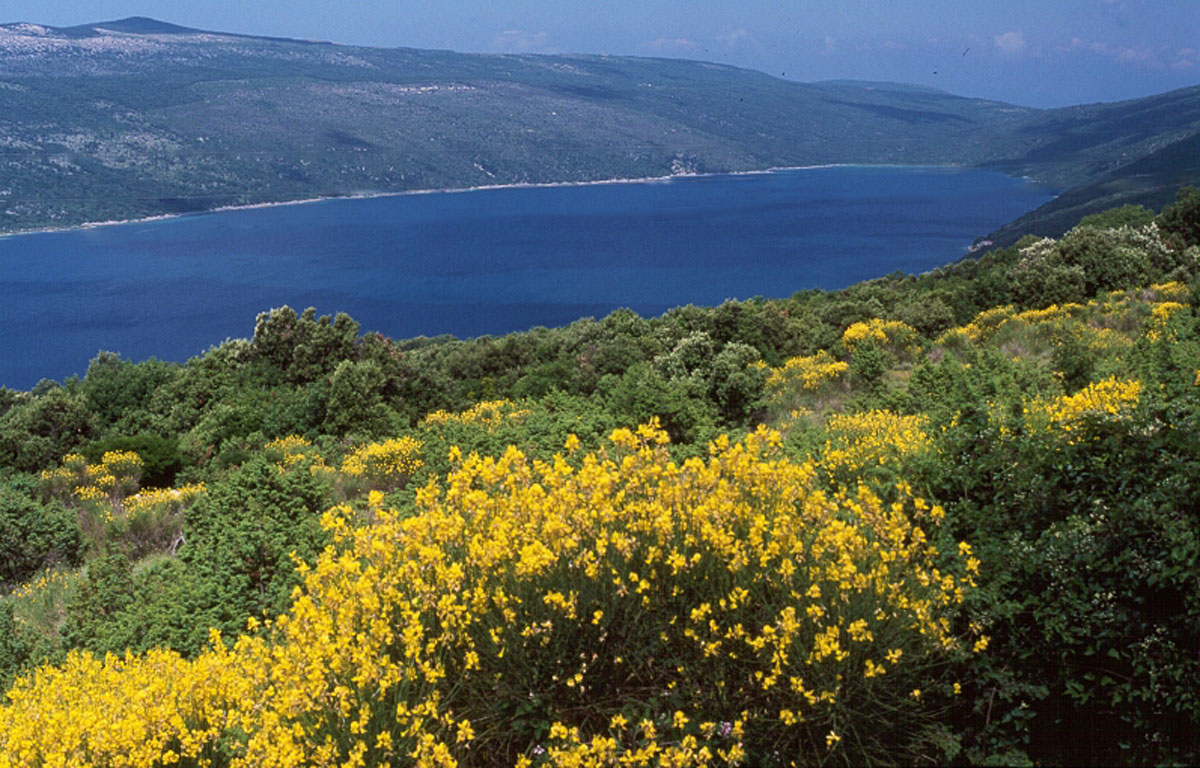 VRANSKO JEZERO (CRES) K22D28